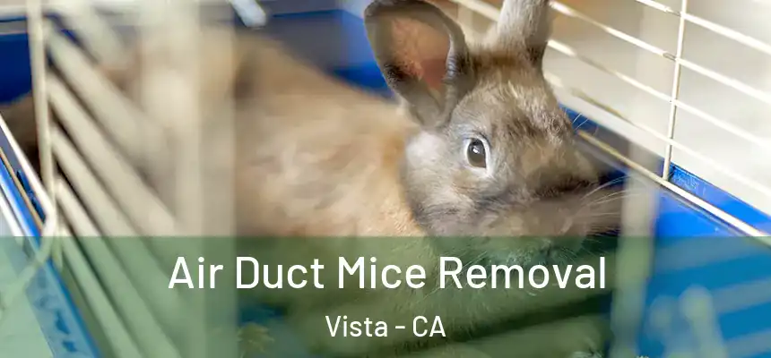 Air Duct Mice Removal Vista - CA