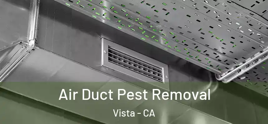 Air Duct Pest Removal Vista - CA