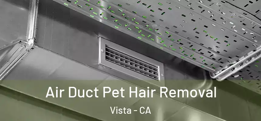  Air Duct Pet Hair Removal Vista - CA