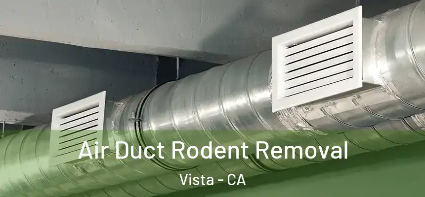 Air Duct Rodent Removal Vista - CA