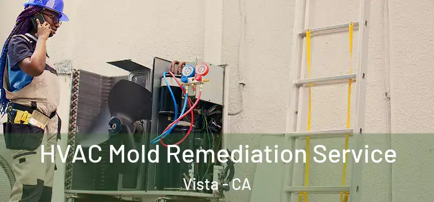  HVAC Mold Remediation Service Vista - CA