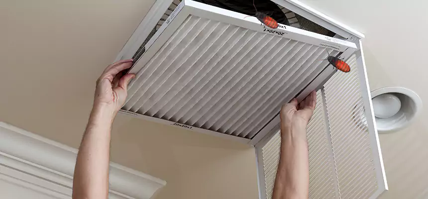 Preventive Cockroach-Proofing for Ducts in Vista