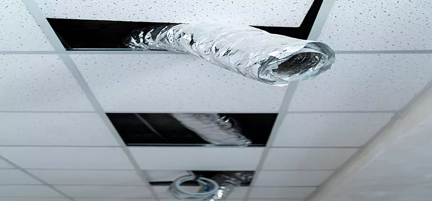 Our Air Duct Pet Hair Removal Services in Vista, CA