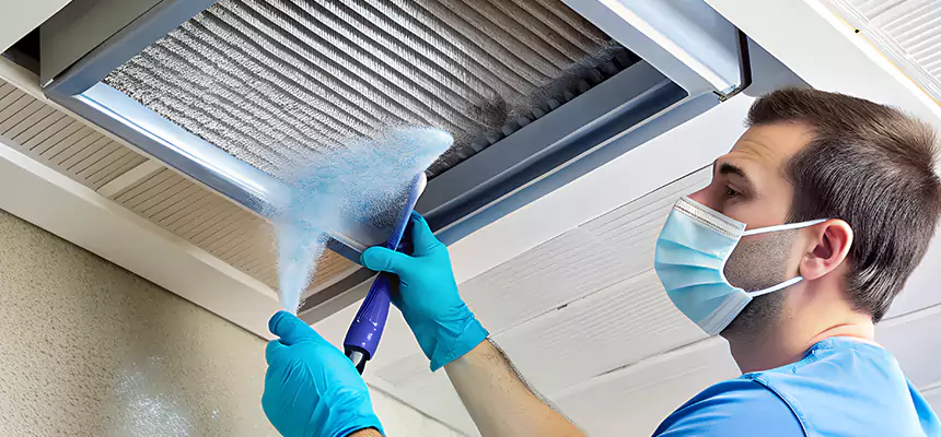 Proactive Dryer Vent & Auxiliary Duct Pollen Cleanup in Vista, CA