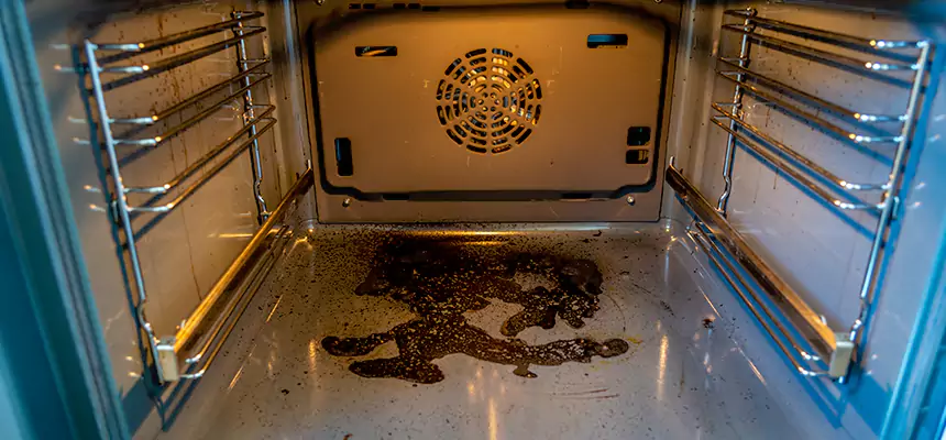 Our Dryer Vent Mold Cleaning Services in Vista, CA