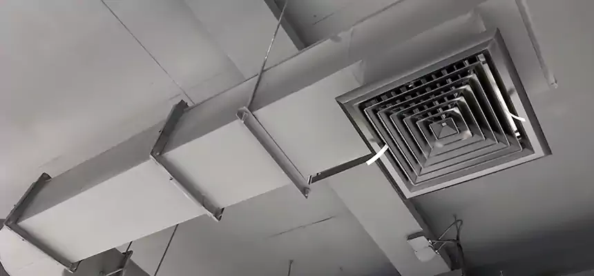 Our Pest Removal From Ducts Services in Vista, CA