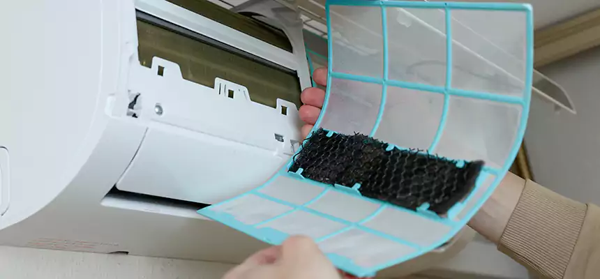 Gentle Ductwork Odor-Control Pet Dander Duct Cleaning in Vista, CA