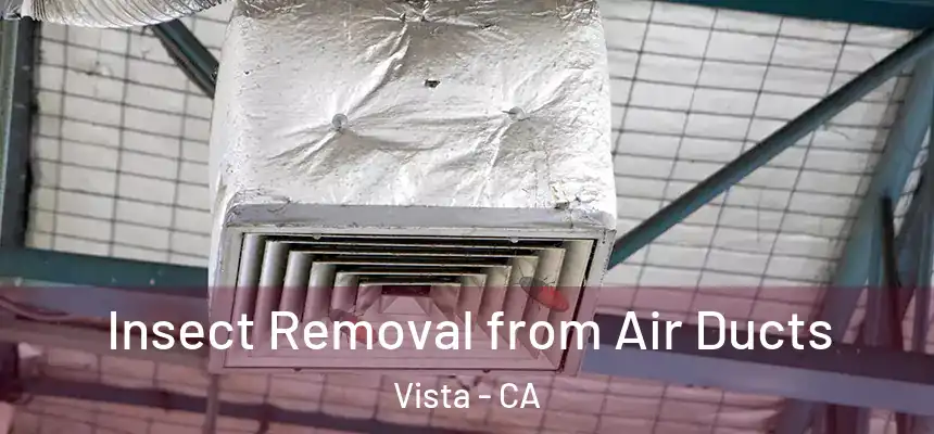 Insect Removal from Air Ducts Vista - CA
