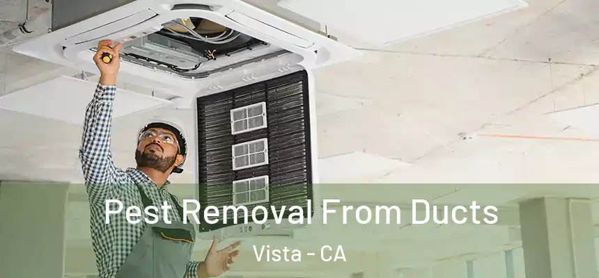 Pest Removal From Ducts Vista - CA
