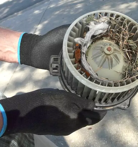 About Air Duct Rat Removal in Vista, CA