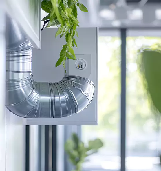 Professional Eco-Safe Dryer Vent Cleaning in Vista, CA