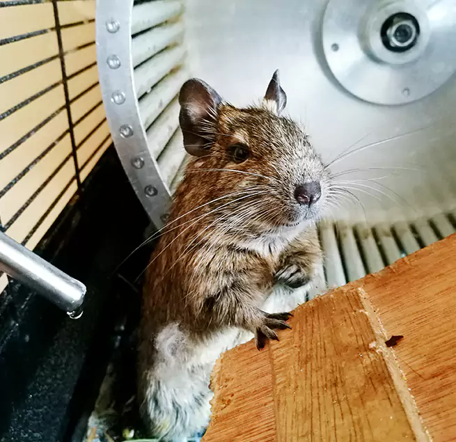 Why Homeowners & Businesses Trust Us Vista, CA?