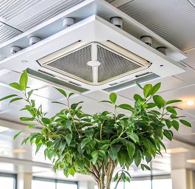 Why Homeowners & Businesses Trust Us in Vista, CA