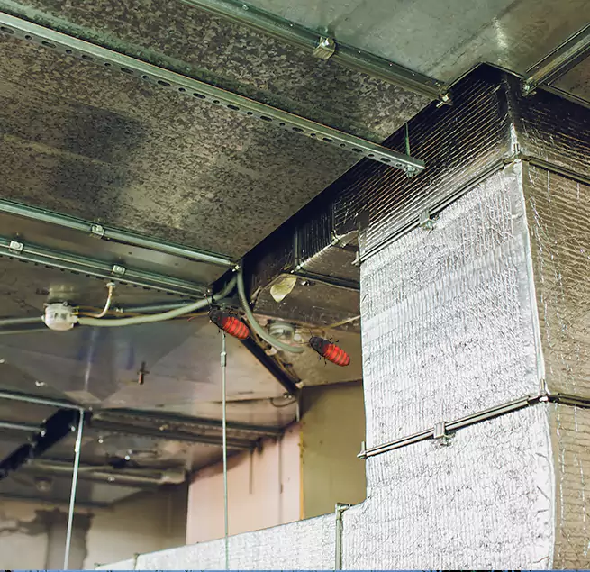 Why Homeowners & Businesses Trust Us Vista, CA?