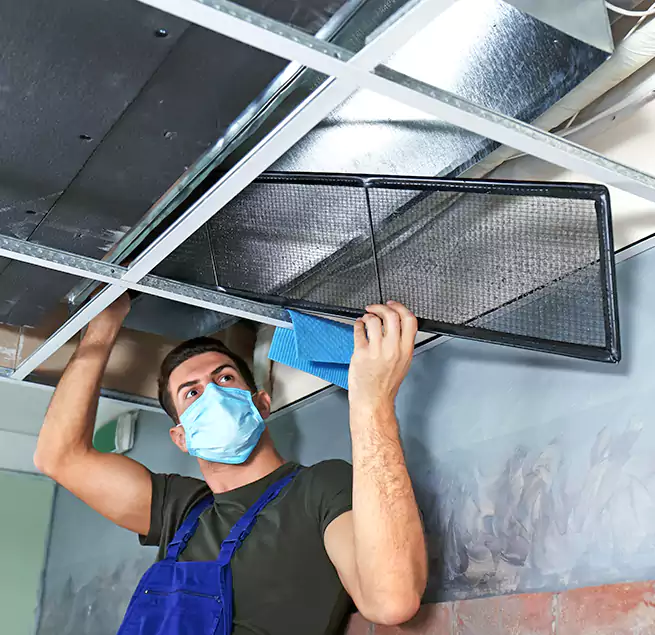 Why Homeowners Businesses Trust Us in Vista, CA